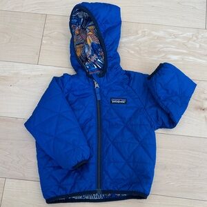 Patagonia Royal Blue Down Jacket